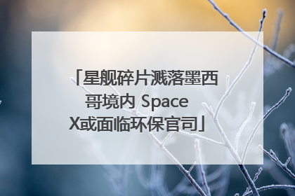 星舰碎片溅落墨西哥境内 SpaceX或面临环保官司