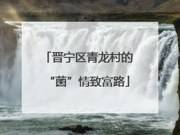 晋宁区青龙村的“菌”情致富路