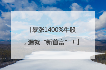 暴涨1400%牛股，造就“新首富”！