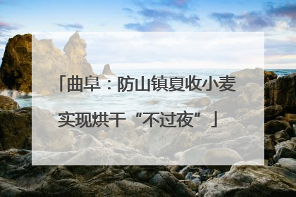 曲阜：防山镇夏收小麦实现烘干“不过夜”