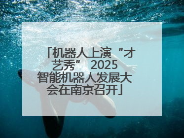 机器人上演“才艺秀” 2025智能机器人发展大会在南京召开