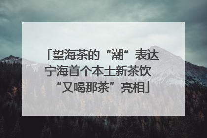 望海茶的“潮”表达 宁海首个本土新茶饮“又喝那茶”亮相