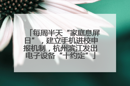 每周半天“家庭息屏日”，建立手机进校申报机制，杭州滨江发出电子设备“十约定”