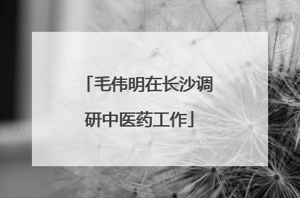 毛伟明在长沙调研中医药工作