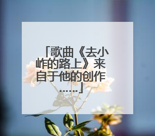 歌曲《去小岞的路上》来自于他的创作……
