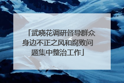 武晓花调研督导群众身边不正之风和腐败问题集中整治工作