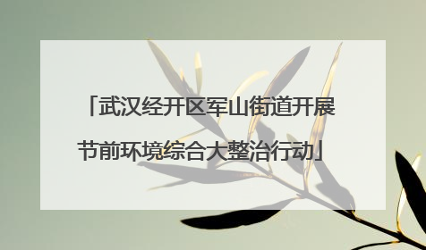 武汉经开区军山街道开展节前环境综合大整治行动