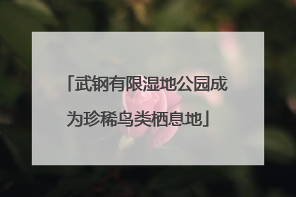 武钢有限湿地公园成为珍稀鸟类栖息地
