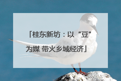 桂东新坊：以“豆”为媒 带火乡域经济
