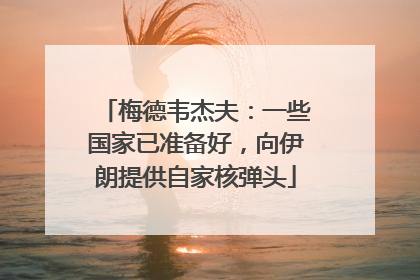 梅德韦杰夫：一些国家已准备好，向伊朗提供自家核弹头