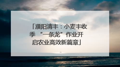 濮阳清丰：小麦丰收季 “一条龙”作业开启农业高效新篇章