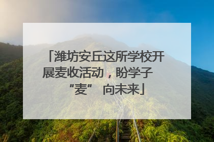 潍坊安丘这所学校开展麦收活动，盼学子 “麦” 向未来