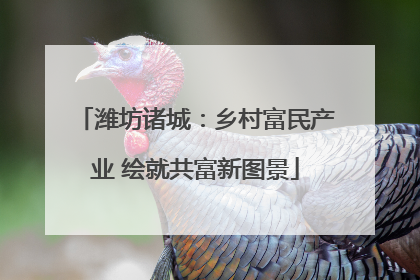潍坊诸城：乡村富民产业 绘就共富新图景