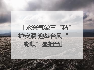 永兴气象三“精”护安澜 迎战台风“蝴蝶”显担当