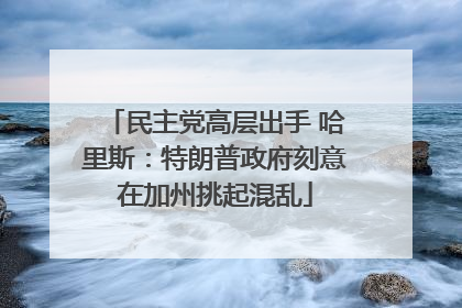 民主党高层出手 哈里斯：特朗普政府刻意在加州挑起混乱