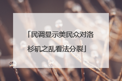 民调显示美民众对洛杉矶之乱看法分裂