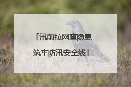 汛前拉网查隐患 筑牢防汛安全线