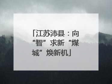 江苏沛县：向“智”求新“煤城”焕新机