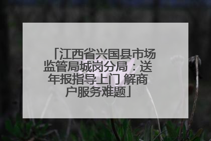 江西省兴国县市场监管局城岗分局：送年报指导上门 解商户服务难题