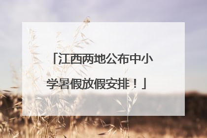 江西两地公布中小学暑假放假安排！