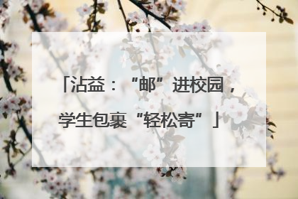沾益：“邮”进校园，学生包裹“轻松寄”