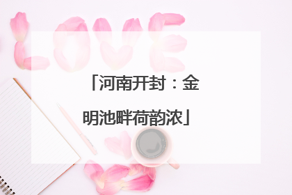 河南开封：金明池畔荷韵浓