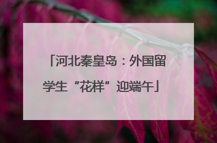 河北秦皇岛：外国留学生“花样”迎端午