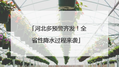 河北多预警齐发！全省性降水过程来袭