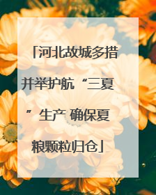 河北故城多措并举护航“三夏”生产 确保夏粮颗粒归仓