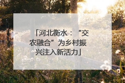河北衡水：“交农融合”为乡村振兴注入新活力
