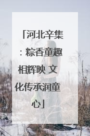 河北辛集：粽香童趣相辉映 文化传承润童心