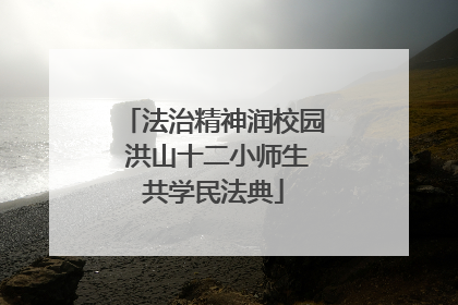 法治精神润校园 洪山十二小师生共学民法典