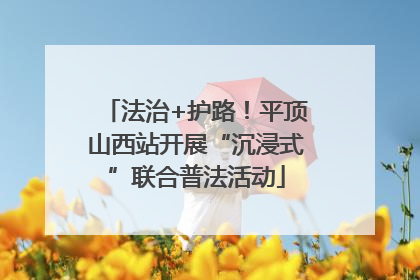 法治+护路！平顶山西站开展“沉浸式”联合普法活动