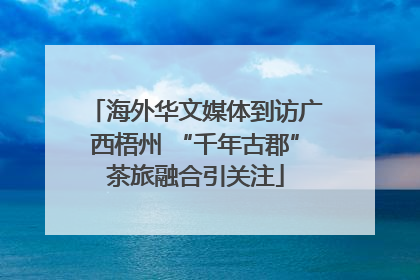 海外华文媒体到访广西梧州 “千年古郡”茶旅融合引关注
