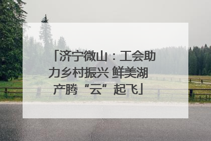济宁微山：工会助力乡村振兴 鲜美湖产腾“云”起飞