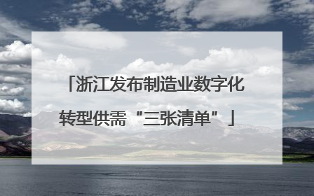 浙江发布制造业数字化转型供需“三张清单”