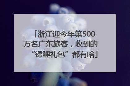 浙江迎今年第500万名广东旅客，收到的“锦鲤礼包”都有啥