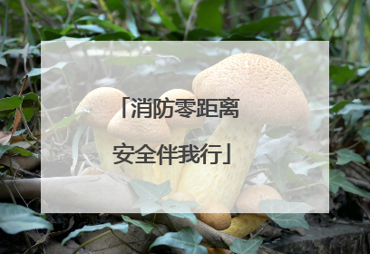 消防零距离 安全伴我行