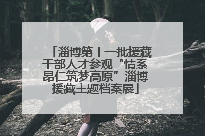 淄博第十一批援藏干部人才参观“情系昂仁筑梦高原”淄博援藏主题档案展