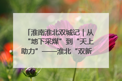 淮南淮北双城记｜从“地下采煤”到“天上助力”——淮北“双新”产业突围记