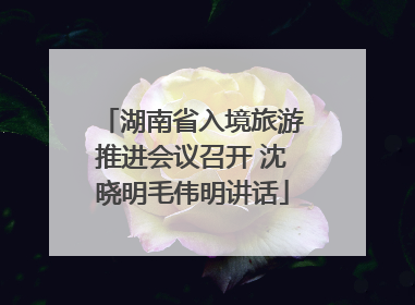 湖南省入境旅游推进会议召开 沈晓明毛伟明讲话