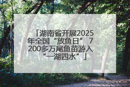 湖南省开展2025年全国“放鱼日” 7200多万尾鱼苗游入“一湖四水”