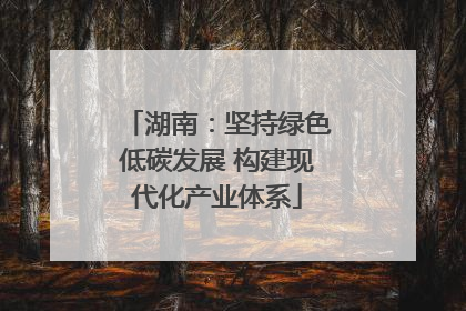湖南：坚持绿色低碳发展 构建现代化产业体系