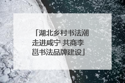 湖北乡村书法潮走进咸宁 共商李邕书法品牌建设