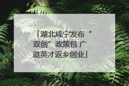 湖北咸宁发布“双创”政策包 广邀英才返乡创业