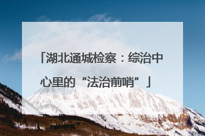 湖北通城检察：综治中心里的“法治前哨”