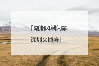 湖湘风潮闪耀深圳文博会