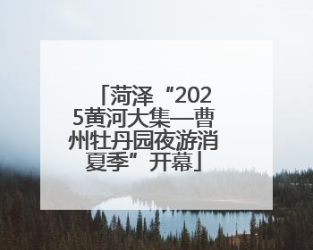 菏泽“2025黄河大集—曹州牡丹园夜游消夏季”开幕
