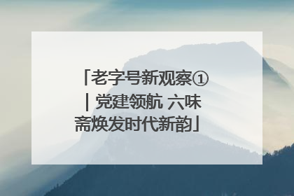 老字号新观察①｜党建领航 六味斋焕发时代新韵