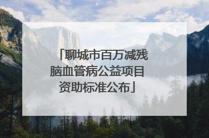 聊城市百万减残脑血管病公益项目资助标准公布